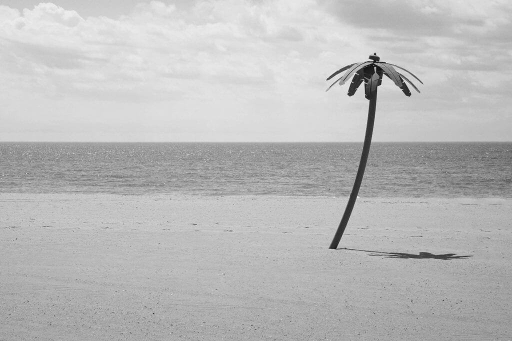 beach phishing technique